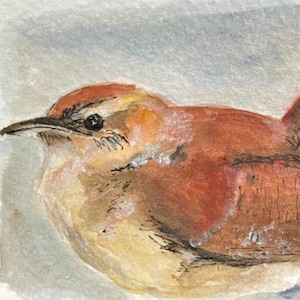 Impresión artística de acuarela original de Carolina Wren