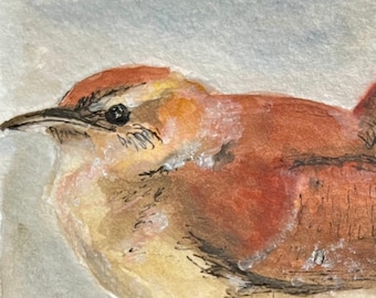 Carolina wren fine art print of original watercolor