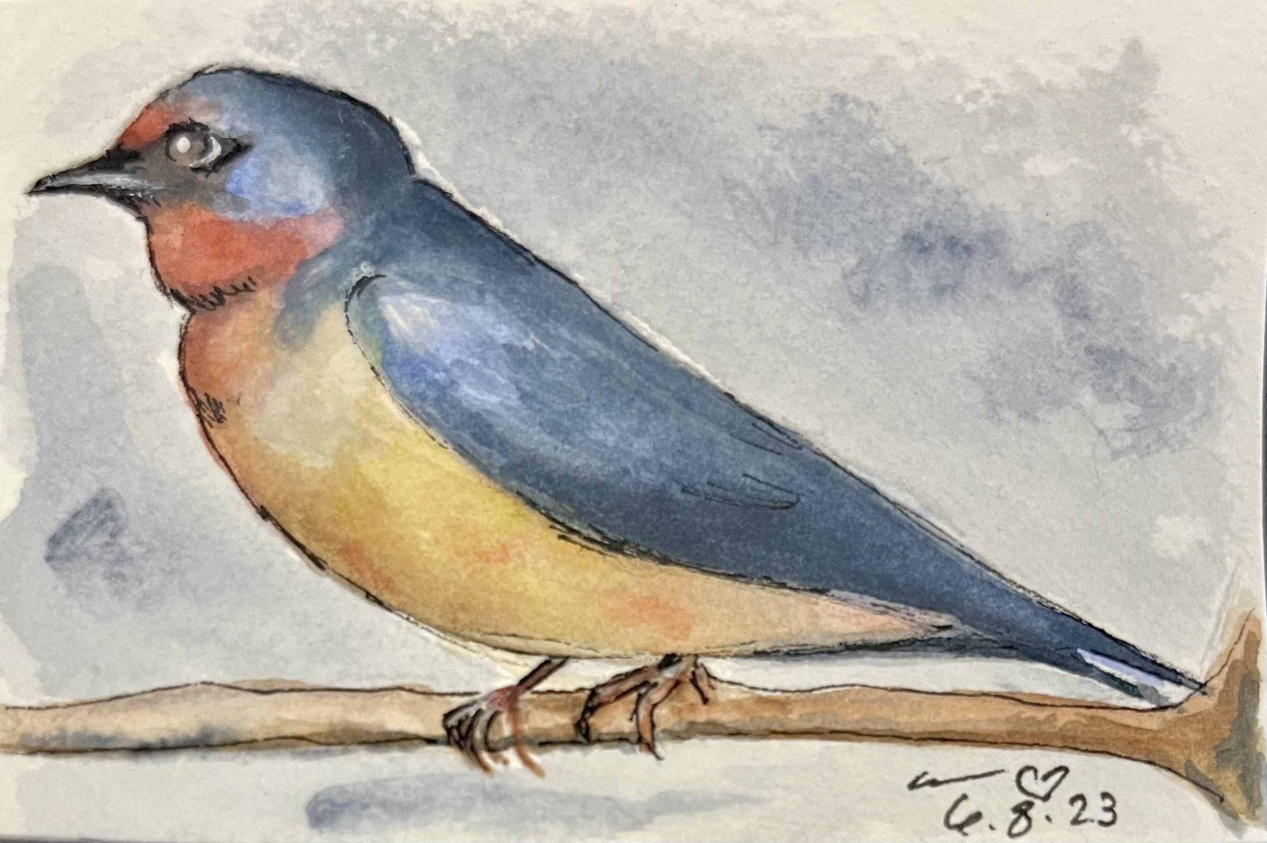 Barn swallow fine art print of original watercolor