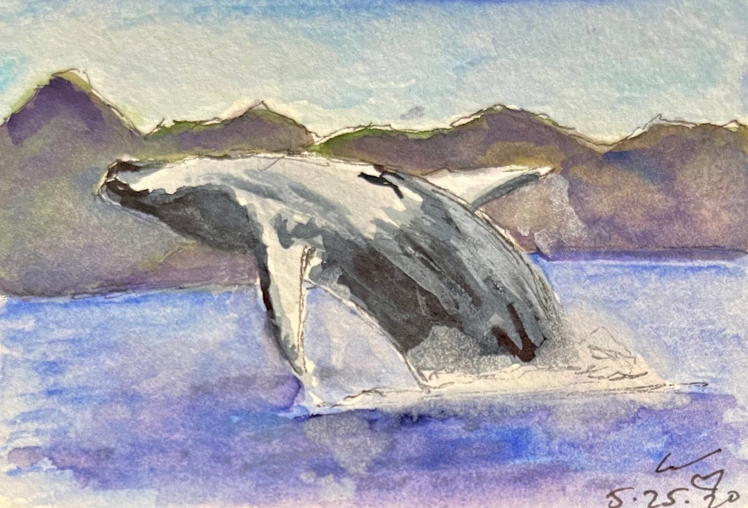 Humpback Whale Breaching Fine Art Print of Original Watercolor - Etsy