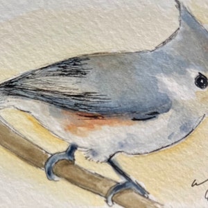 Büschelige Meise Fine Art Print von original Aquarell