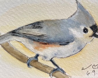 Tufted titmouse fine art print of original watercolor