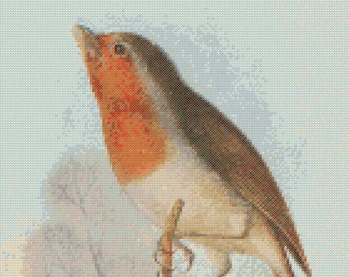 Animal PDF Cross Stitch Chart - (ref238) Robin