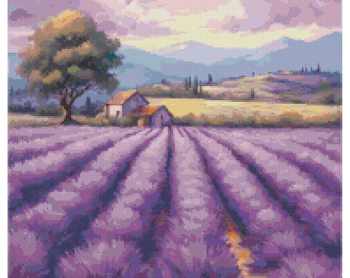 Lavender Field