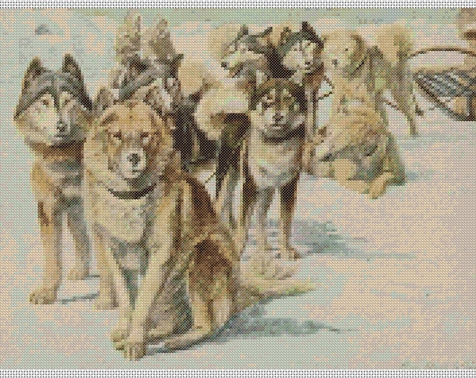 Animal PDF Cross Stitch Chart - (ref214) Alaskan Eskimo Dogs