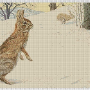 Gráfico de punto de cruz de animales en formato PDF (ref220) Conejo de cola de algodón