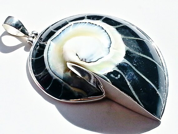 Eco Friendly Eclipse Black Nautilus Shell Pendant Silver Sea - Black Nautilus Shell Pendant Eco Friendly Eclipse Black Nautilus Shell Pendant Silver Sea - Black Nautilus Shell Pendant