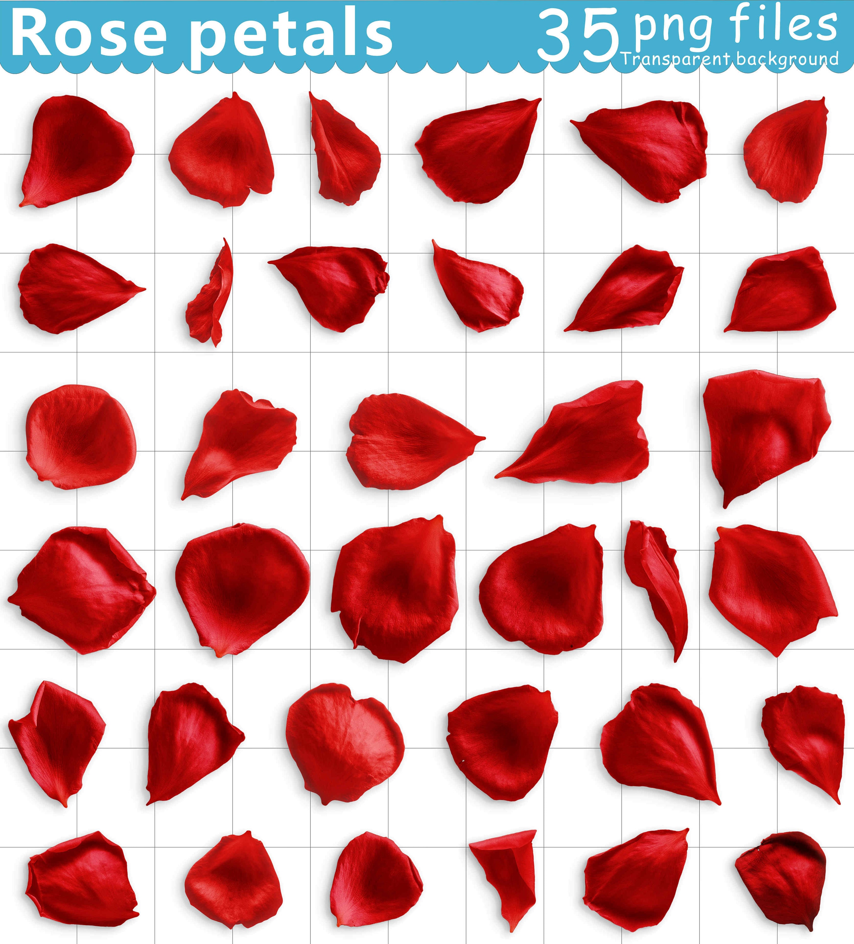 Rose Petals Clipart Rose Clipart Flower Clipart Digital Etsy Ireland