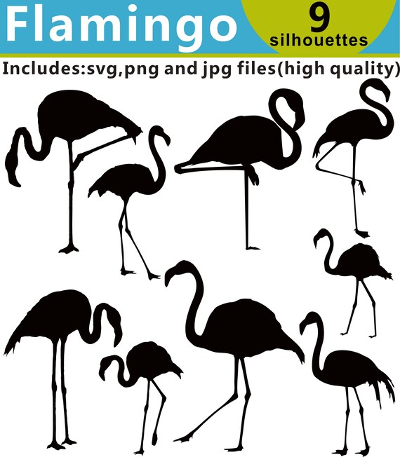 Download Flamingo Silhouette Clipart Flamingo Svg Files Bird Etsy