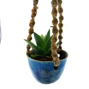 May include: A small succulent plant in a blue ceramic hanging planter. The planter has a crackle glaze finish and is suspended by a brown macrame rope. The plant has green, pointed leaves.