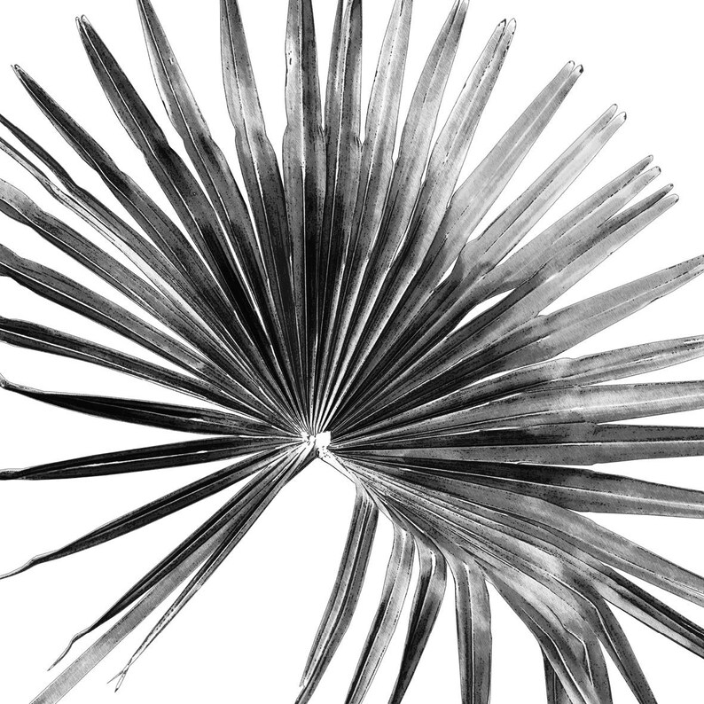 Set of 3 Leaf Art Prints Large Wall Art Botanical Prints Etsy