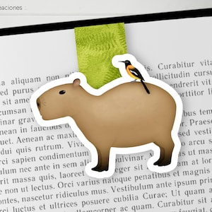 Carino Llaveros Donne Anime Capybara Portachiavi per Borse Portachiavi Bambola Capibara Chaveiro Portachiavi Porte Clés Amici Regalo All'ingrosso  36