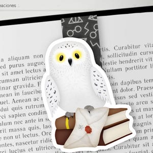May include: A white snowy owl with yellow eyes perched on a stack of books with a white envelope. The owl is holding the envelope in its talons. The books are brown with gold accents. The envelope has a red wax seal.