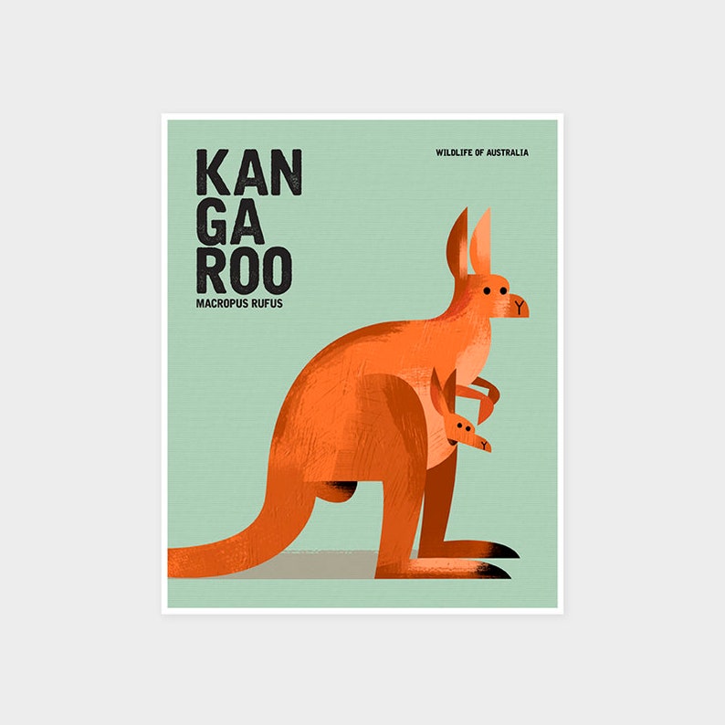 KANGAROO, Wildlife of Australia, Nursery Animal Wall Art Print, Kids Educational Poster Print, Retro Vintage Minimalist Animal Illustration image 1