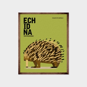 ECHIDNA, Australian Animals, Nursery Art Print, Educational Poster Print, Wildlife Australia Poster, Retro Vintage Minimalist Illustration