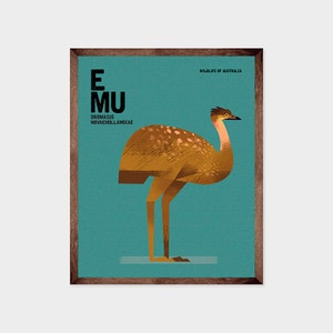 EMU, Australian Animal, Nursery Art Print, Educational Kids Poster Print, Kids Room Decor, Australian Bird, Wildlife, Retro Animal Poster
