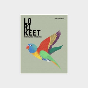 LORIKEET Birds of Australia, Rainbow Lorikeet, Australiana Art Prints, Parrot Art, Australian Birds, Colourful Quirky Bird Art Illustration