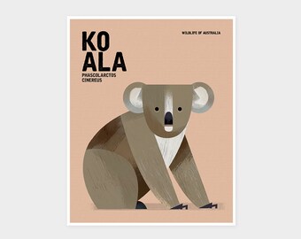 KOALA, Wildlife of Australia, Nursery Animal Wall Art Print, Educational Kids Poster Print, Australian Native Animal