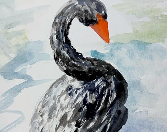 May include: Watercolour painting of a black swan with an orange beak, set against a blue and green watercolour background.