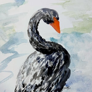 cygne noir