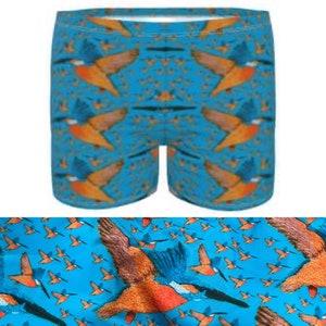 Zwembroek voor heren.  Kingfisher-borduurkunstontwerp door Juliet Turnbull. OP BESTELLING GEMAAKT
