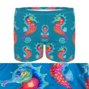 Zwembroek voor heren.  Seahorse-ontwerp met regenboogeenheid van Juliet Turnbull. OP BESTELLING GEMAAKT
