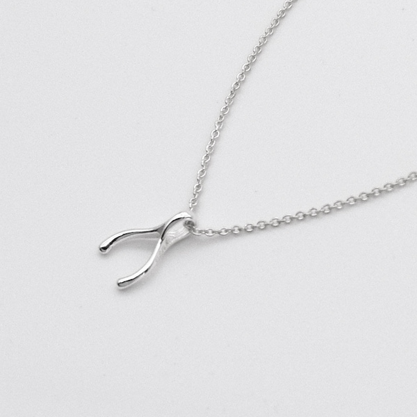 Silberne Wishbone-Halskette - Sterlingsilber-Wishbone-Anhänger - Kleiner Wishbone-Anhänger - Glücksbringer-Halskette - Wish Bone - Winziger Knochen-Anhänger
