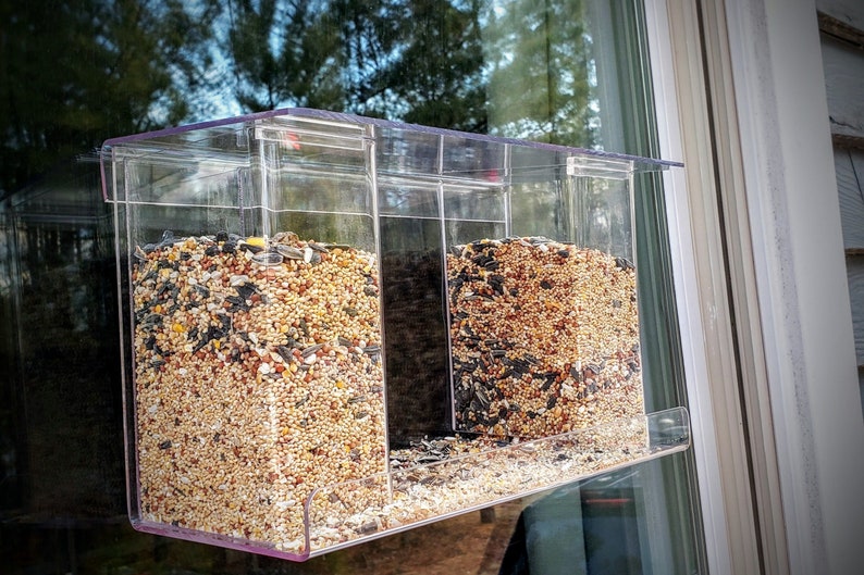 Clear Acrylic Window Mount Bird Feeder See Thru Window Mount Etsy