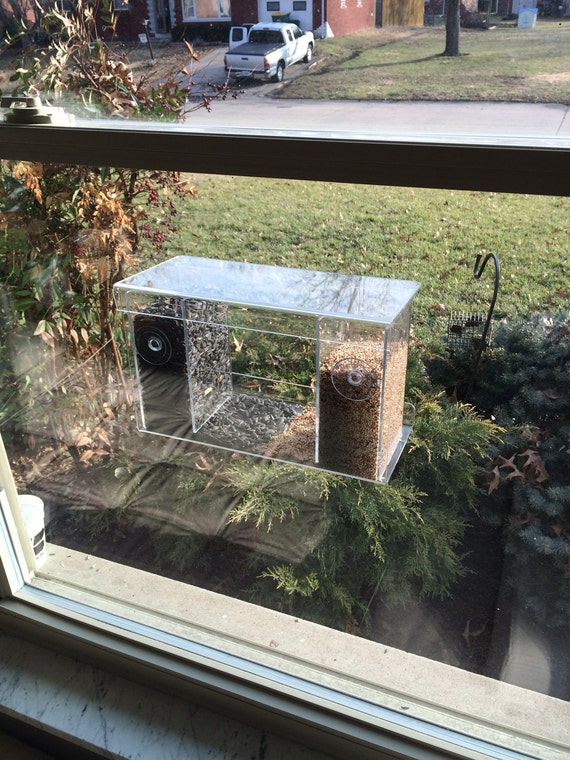Clear Acrylic Window Mount Bird Feeder See Thru Window Mount Etsy