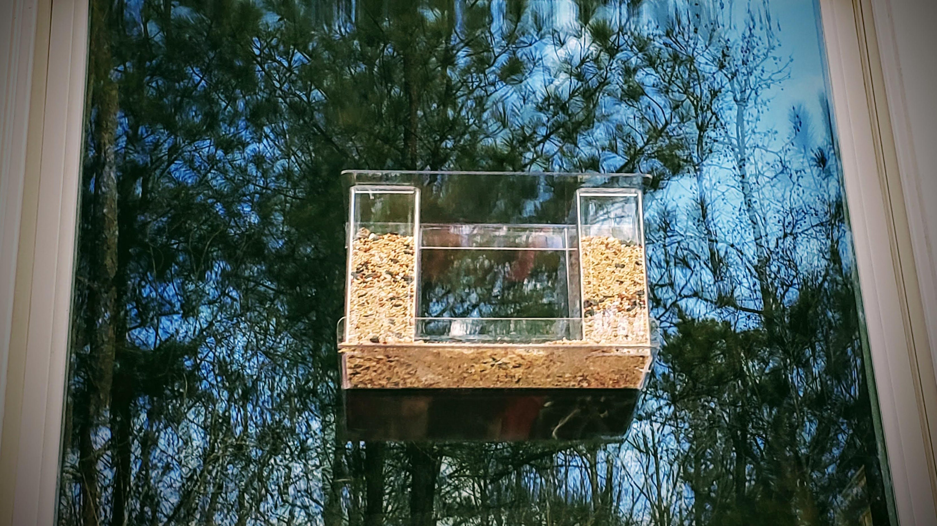 Mangeoire à oiseaux en acrylique transparent, montée sur la fenêtre,  transparente fabriquée aux États-Unis -  France