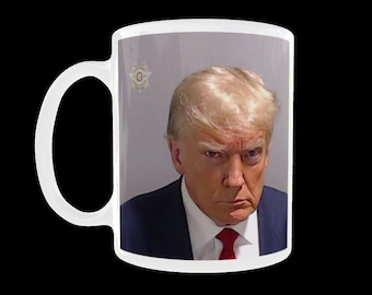 Donald Trump Becher, Donald Trump 2023 Mugshot Becher, Donald J Trump nicht schuldig Becher, Demokrat Geschenk Lustige Neuheit Becher 11 Unzen Geschenkbox
