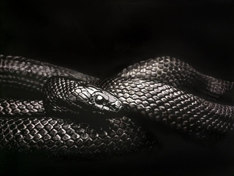 Reptile Portraits Photo Realistic Scratchboard Wildlife Snake Etsy