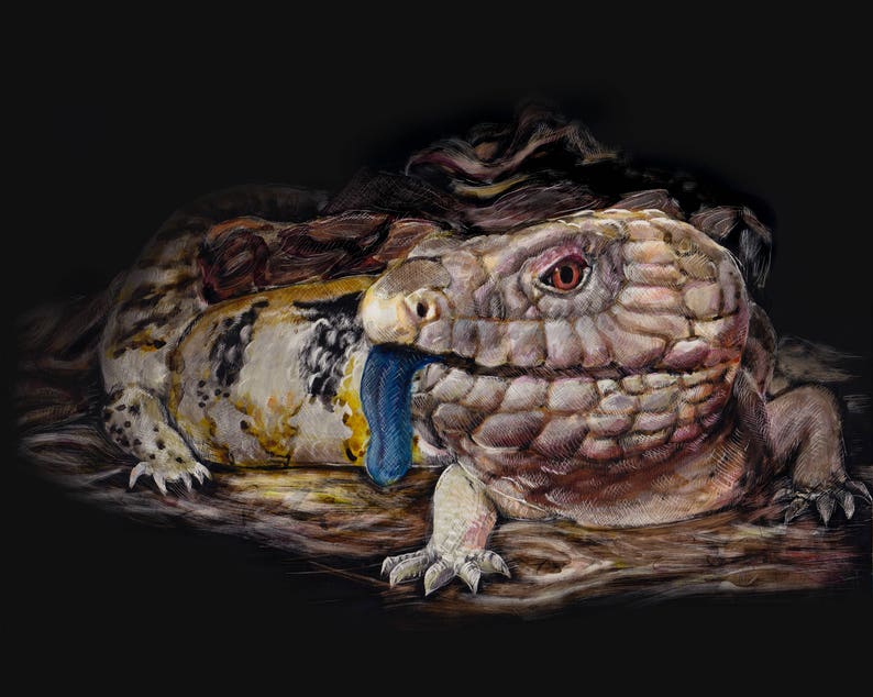 Reptile Portraits Photo Realistic Scratchboard Wildlife Snake Etsy