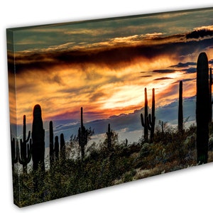 Sonoran Desert Wall Art Arizona Sunset Canvas Print. Cactus - Etsy