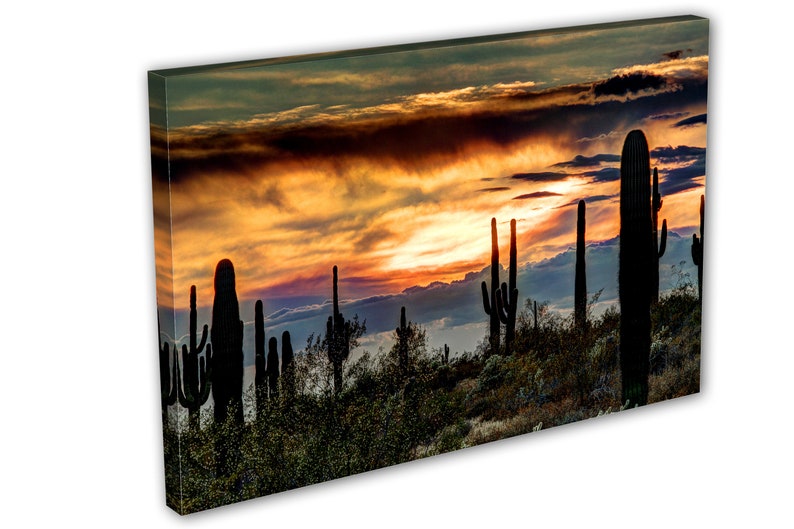 Sonoran Desert Arizona Sunset Canvas Print Wall Art | Etsy