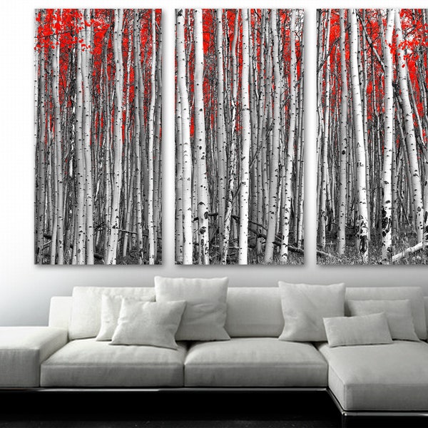 White Aspen Birch Trees & Red Leaves Wall Art Canvas Print. Large forest trees and leafs nature photo - Giclee home room decor, wall decor