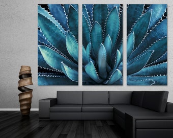 blue weber agave tequila Casa Rayos