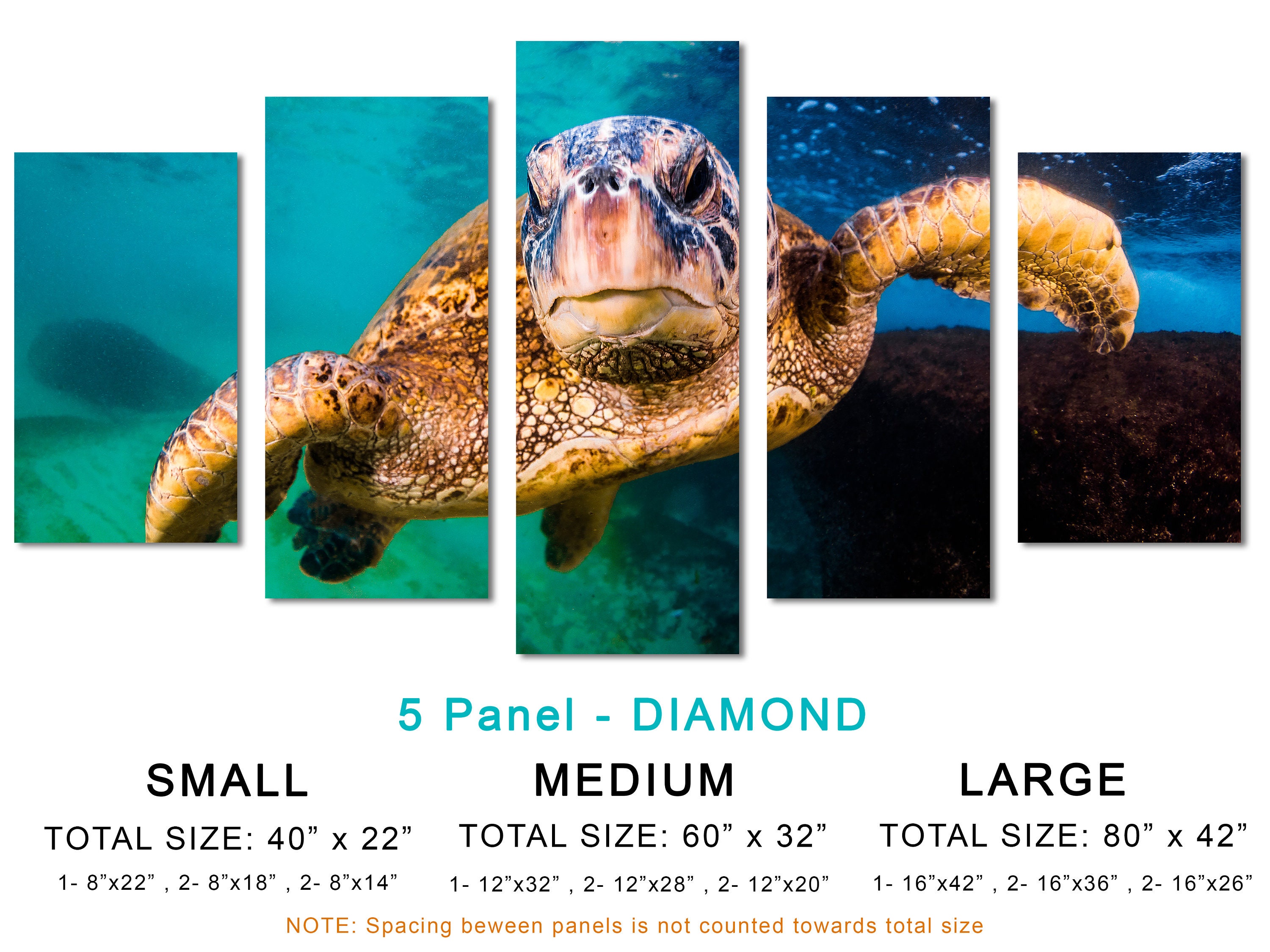 Hawaiian Green Sea Turtle Canvas Print Wall Art. Marine life Etsy