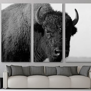 Bison closeup Canvas Print Wall Art. Black and White Buffalo, Wildlife photograph - Giclee home art decor, wall decor, interior design