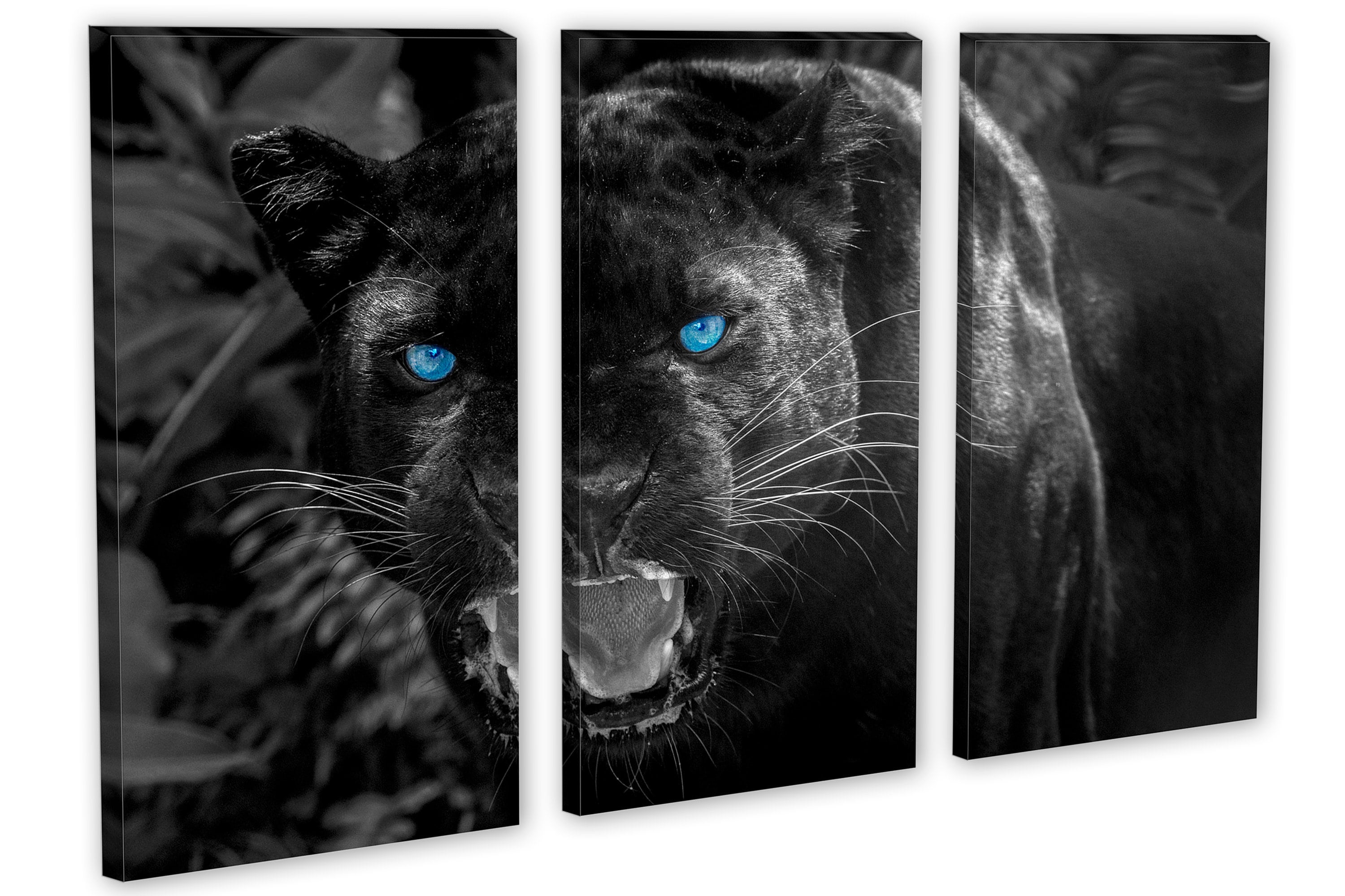 Black Panther Canvas Print wall art blue eyes. Animal art Etsy