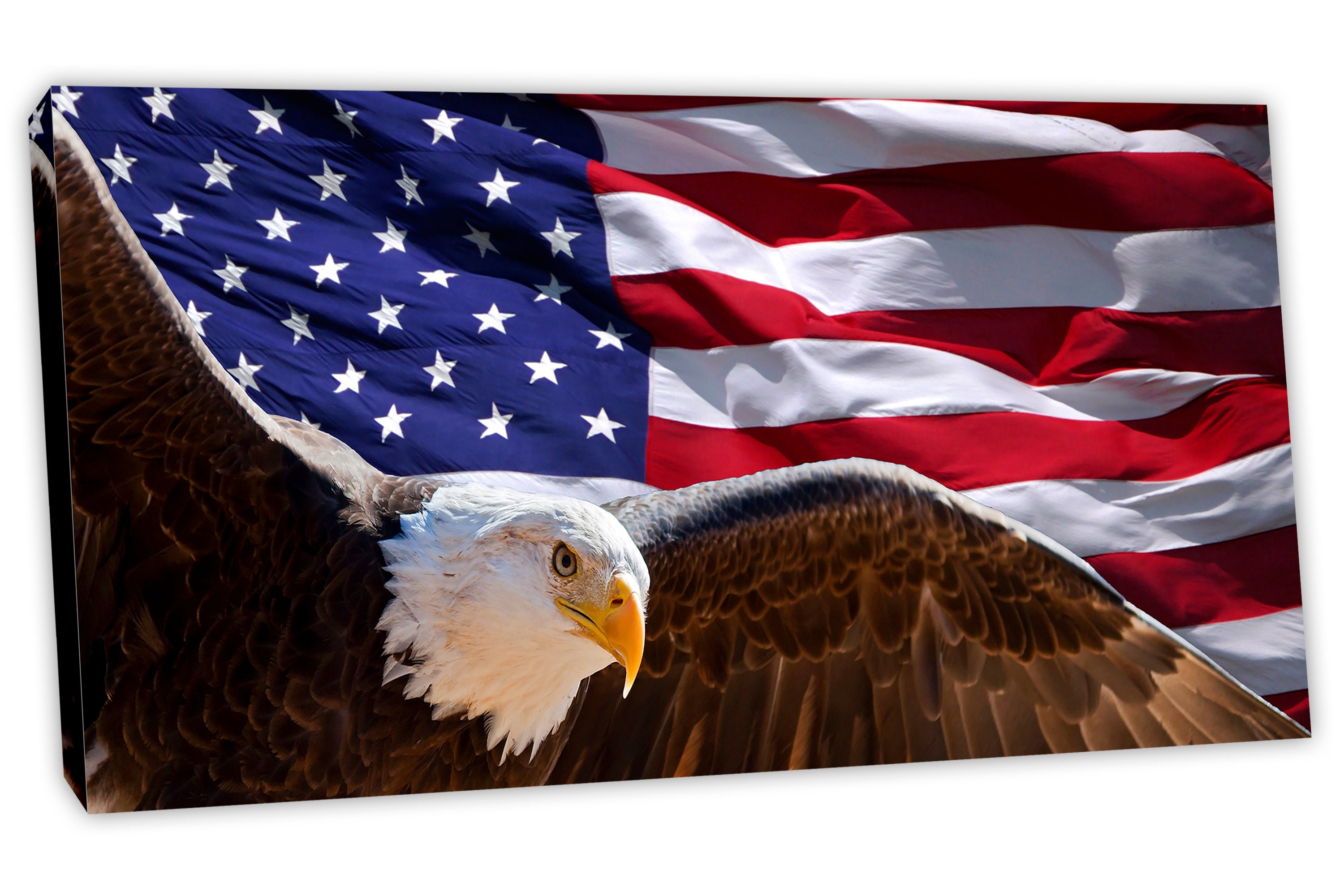 Águila Calva Bandera de los Estados Unidos 3 paneles - Etsy España