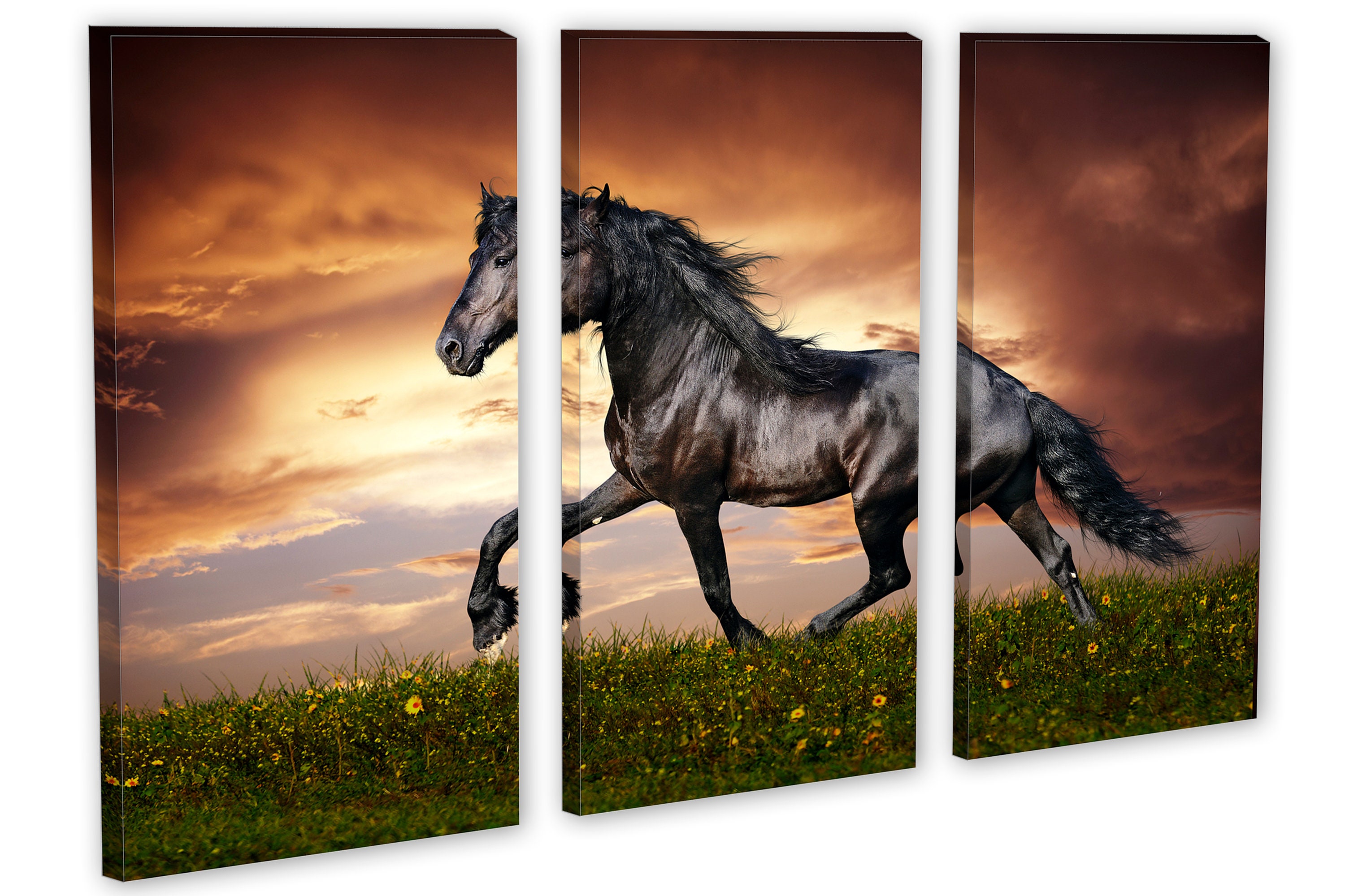 Black Horse Animal Canvas Print. Black Stallion Wall Art With Dark ...