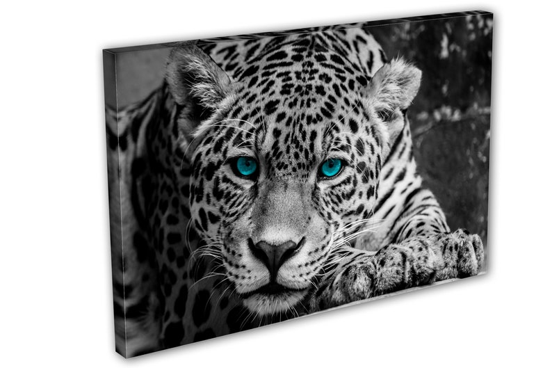 Leopard wall art Portrait blue eyes Canvas Print. Jaguar | Etsy