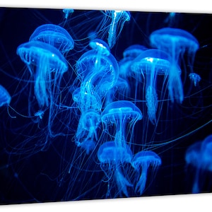 Blue Jellyfish Wall Art Canvas Print. Jellyfish Swarm Group Marine Life ...