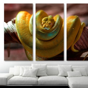 Boa Snake Wall Art Yellow Canvas Print. Animal Art, reptile print, viper serpent print- Giclee home art decor, wall decor, interior design
