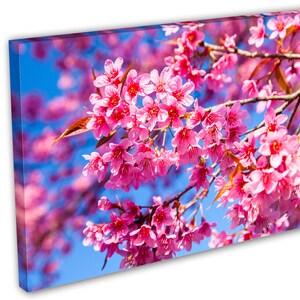 Pink Cherry Blossom 3 Panel Split Triptych Canvas Print. - Etsy