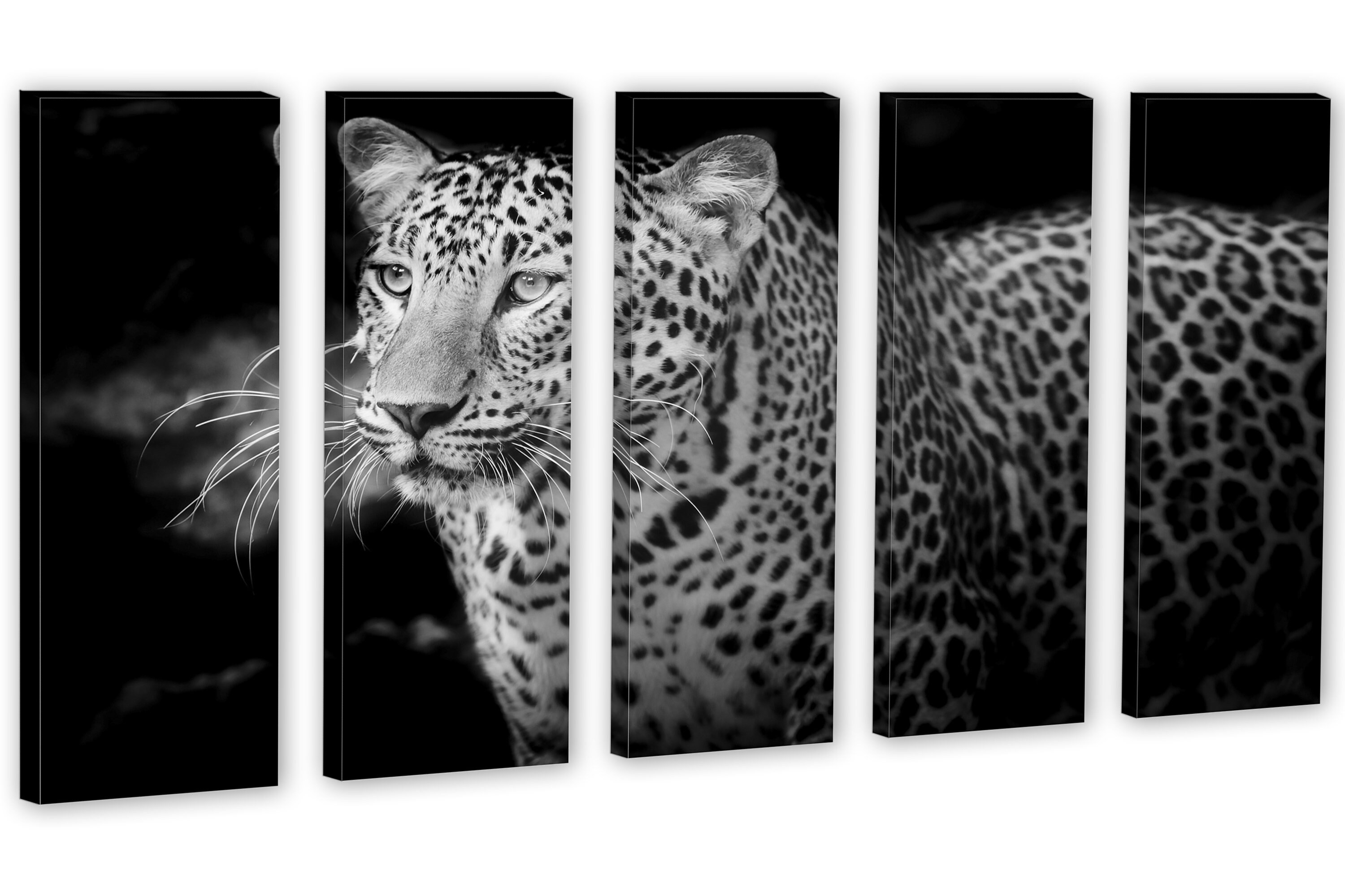 Leopard B&W Portrait 3 Panel Split triptych Canvas Print. - Etsy