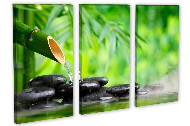May include: A bamboo fountain with water flowing over smooth black stones. The water creates a mist as it flows into a pool of water. The background is a blurred image of green bamboo leaves.