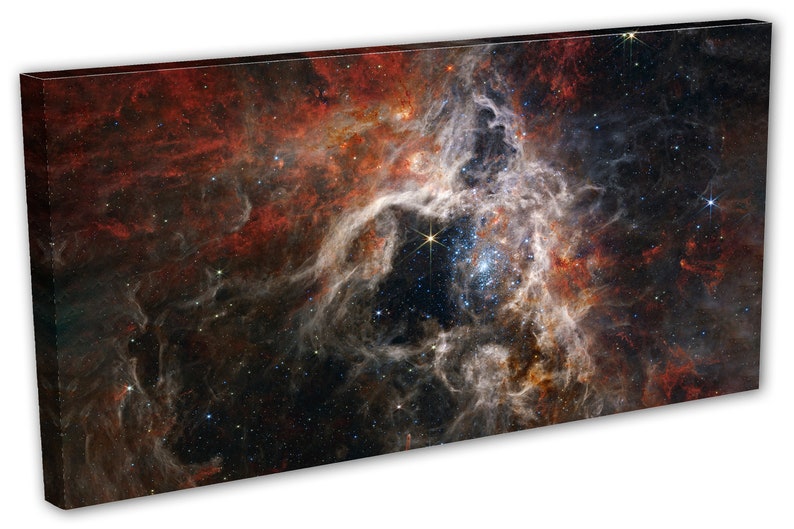 Tarantula Nebula Canvas Print Wall Art NASA James Webb Space Telescope ...