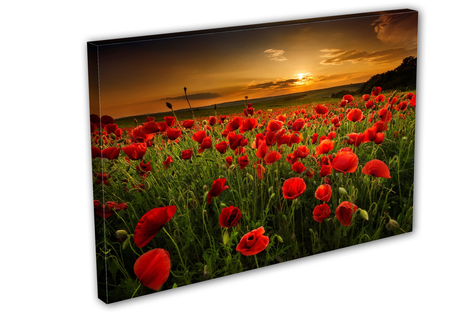 Red Poppy Field Sunset Canvas Wall Art, Wildflower Meadow Landscape ...